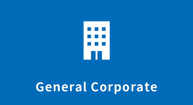 General Corporate Law Practice